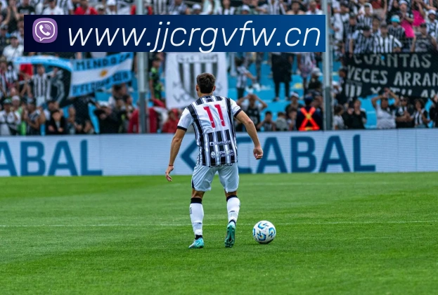 App Interface Preview