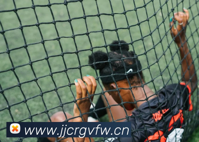 星空体育app官网入口网址APP 封面图